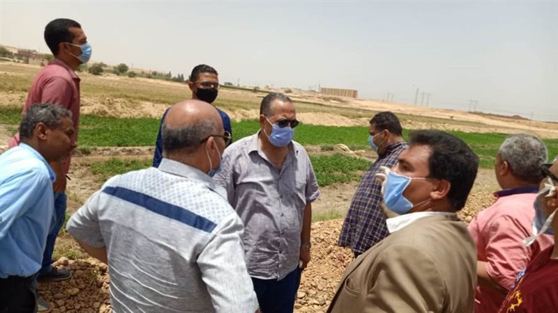 استمرار المعاينات