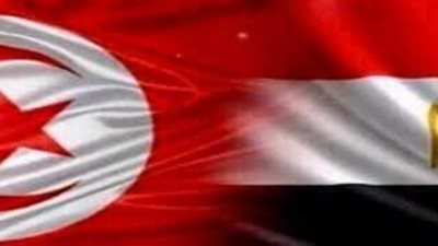 الرئيس السيسي يهنىء نظيره التونسي بعيد الفطر المبارك 