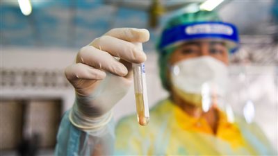 تايلاند تختبر لقاحًا مضادًا لكورونا على القردة