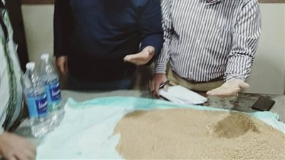 توريد ١٨١ ألف طن قمح لصوامع الدقهلية