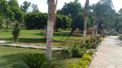 القليوبية تلتزم بقرار الحظر في أول أيام عيد الفطر