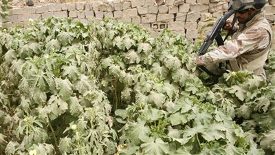 المخابرات العراقية تقبض على إرهابي حرق محاصيل زراعية