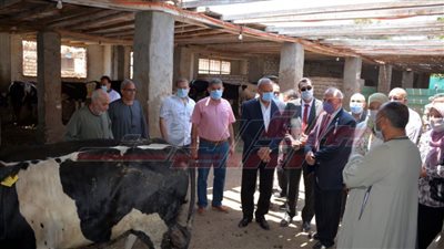 محافظ القليوبية يتفقد مزارع لإنتاج البتلو بمدينتي بنها وطوخ