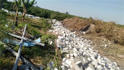 إزالة فورية للتعديات على الأراضي الزراعية بالبحيرة