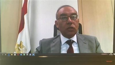 بعثة مصر في جنيف تنظم لقاءات للمجموعة الإفريقية لمتابعة جهود مواجهة كورونا