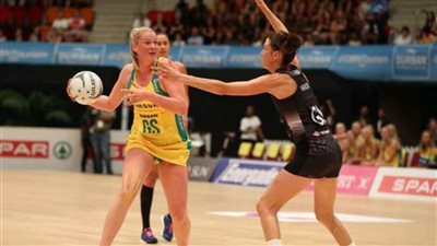 إلغاء البطولة الرباعية الدولية لكرة الشبكة «نتبول»