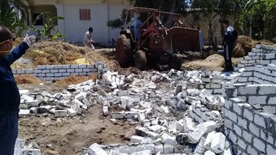 إزالة التعديات على الأراضي الزراعية في مرحلة المهد بالبحيرة