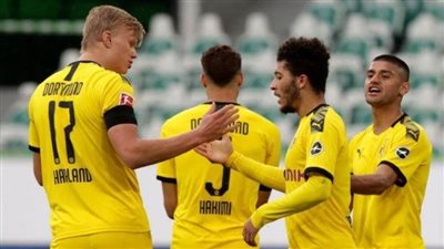 بوروسيا دورتموند يفوز على بادربورن بنصف دستة أهداف