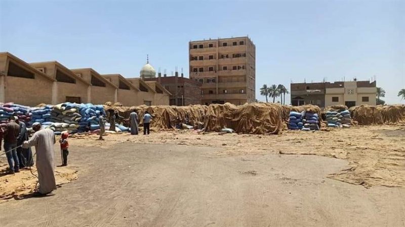 بوابة روز اليوسف