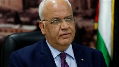 عريقات: المواقف الدولية مشتركة ضد قرار ضم أراضٍ فلسطينية إلى إسرائيل