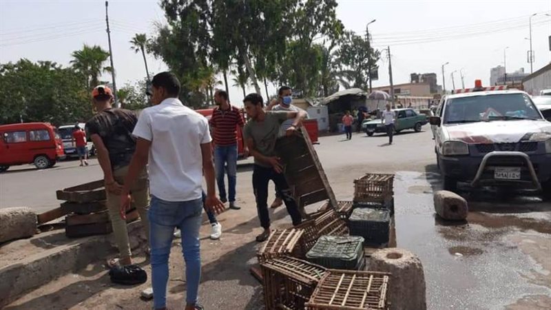 بوابة روز اليوسف