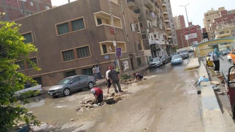 بوابة روز اليوسف