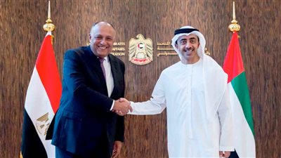 وزيرا خارجية مصر والإمارات يشددان على الوقف الفورى للحرب فى ليبيا 