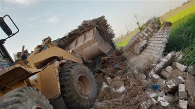 إزالة 12 حالة تعدٍ على الأراضي بالبحيرة