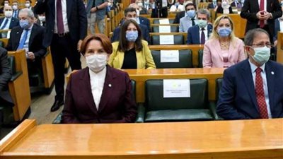 المرأة الحديدية  لـ