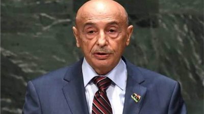 رئيس النواب الليبي يتلقى اتصالاً هاتفياً من السفير البريطاني