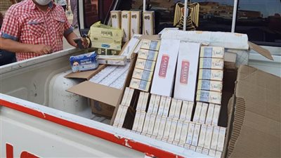 ضبط 1100 قاروصة سجاير في حملة ببني سويف