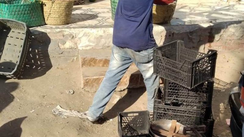 بوابة روز اليوسف