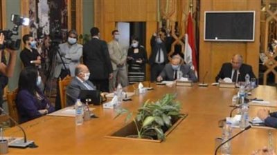 وزير الخارجية يكشف التحرك المصري فى ملفات سد النهضة والأزمتين الليبية والفلسطينية 