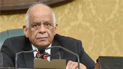 عبد العال: هدفنا دعم استقرار ليبيا ووحدتها وحماية حدودنا الغربية