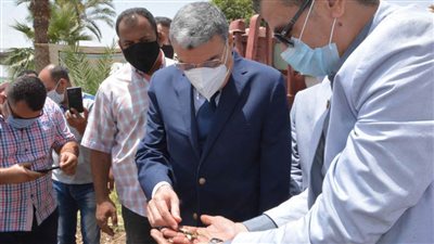 محافظ المنيا يشهد بداية موسم تنمية نهر النيل.. وإلقاء مليون زريعة سمك 