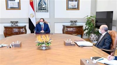 عاجل.. الرئيس السيسي يطلع على جهود تطوير المنظومة القضائية