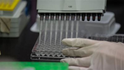 السنغال تسجل 122 إصابة جديدة بفيروس كورونا