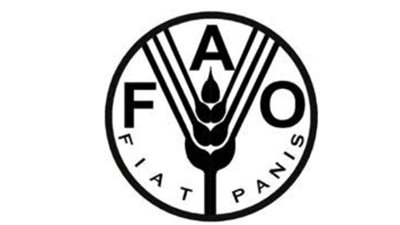 الفاو : مصر تدير قطاع الحبوب بكفاءة للحفاظ على الأمن الغذائى