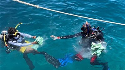 البيئة تنظم حملة نظافة موسعة تحت الماء بالبحر الأحمر