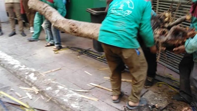 بوابة روز اليوسف