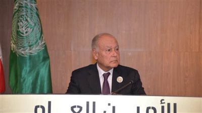 ابو الغيط : المنطقة العربية تتعرض لتنمّر إقليمي