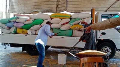 صوامع كفر الشيخ تستقبل القمح المحلي