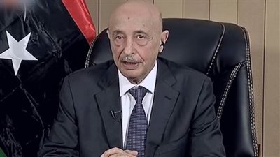 البرلمان الليبي يرحب بتصريحات الرئيس السيسي بإمكانية تدخل مصر عسكريا فى ليبيا 