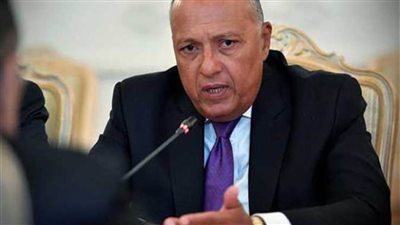 شكري يشارك في الدورة غير العادية لمجلس ‫جامعة الدول العربية لبحث سد النهضة والأوضاع فى ليبيا