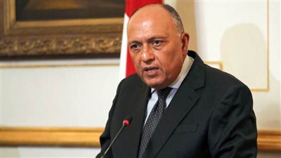 شكري: مصر تدعو الدول العربية لدعم تحركاتها في قضية سد النهضة
