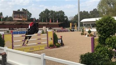 الاتحاد الدولي للفروسية يستبعد قطر من أولمبياد طوكيو