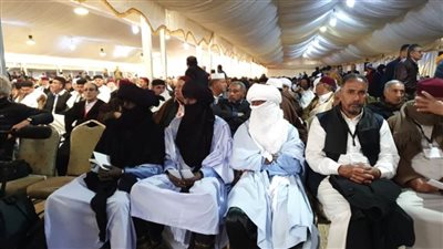 مجلس شيوخ وأعيان ليبيا: نتعرض لغزو تركي رسمي يدعمه تنظيم الحمدين في قطر