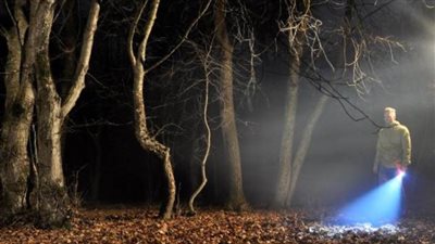 أطباق طائرة واختفاء غامض ..سر الغابة الملعونة في رومانيا 