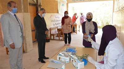 محافظ المنيا يتفقد لجان 