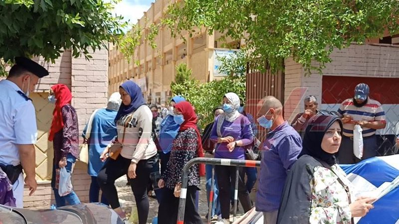 بوابة روز اليوسف