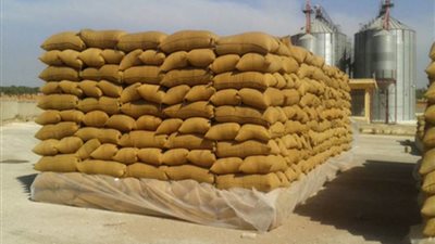 توريد 128 ألف طن قمح لصوامع الغربية