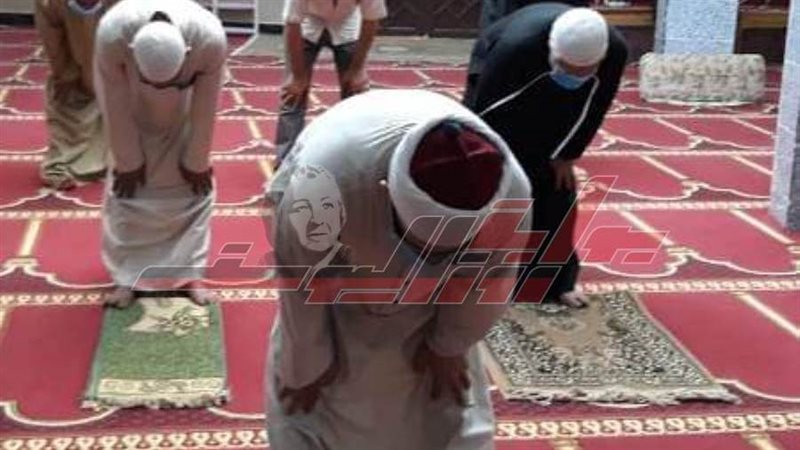 المنايفة يتوافدون