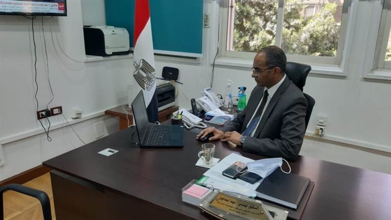 الدكتور سيد اسماعيل