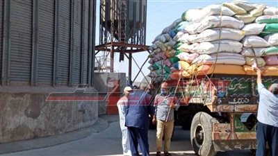 توريد 137 ألف طن قمح وتحرير 179 محضرا تموينيا بالمنوفية