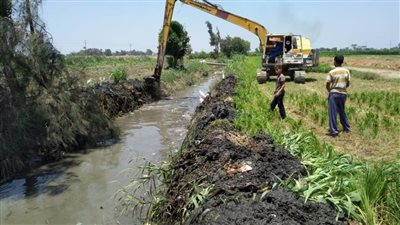 استمرار أعمال تطهير ونزع حشائش الترع والمصارف بالبحيرة