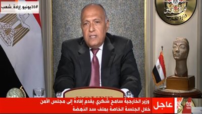 عاجل.. شكري لمجلس الأمن: أي قرار أحادي بشأن سد النهضة يهدد الأمن والسلم الدوليين 