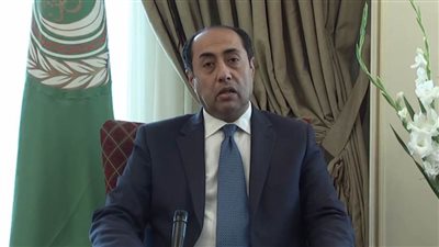 السفير حسام زكي: الأزمة السورية تمر بمراحل حرجة