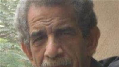 د. صلاح الراوي: محاولات الإخوان اختزال مصر في جماعة بعينها نوع من الجنون