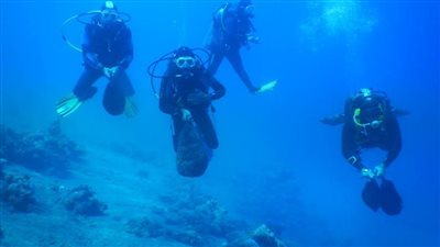 البيئة تصدر الدليل الإرشادي الأول للرحلات البحرية السياحية