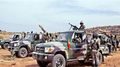 الجيش المالي يعلن مقتل 7 من عناصره خلال هجوم إرهابي شمال البلاد